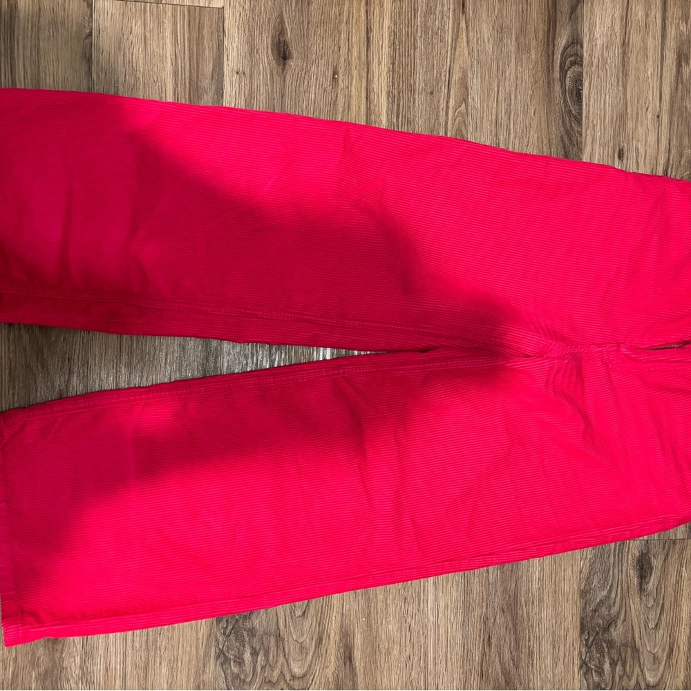 BDG Pink Corduroy Wide Leg Pants